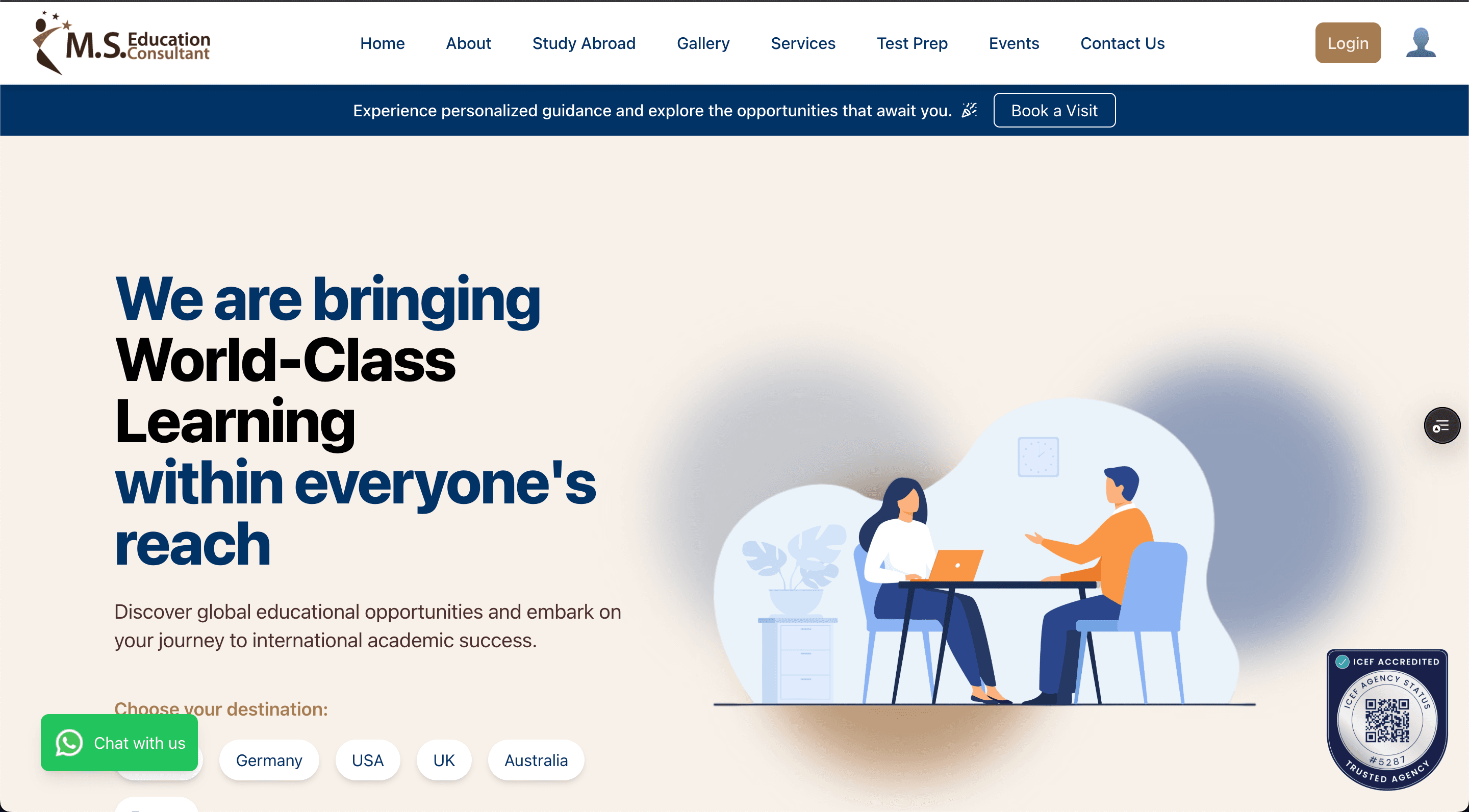 MSE Consultant Website