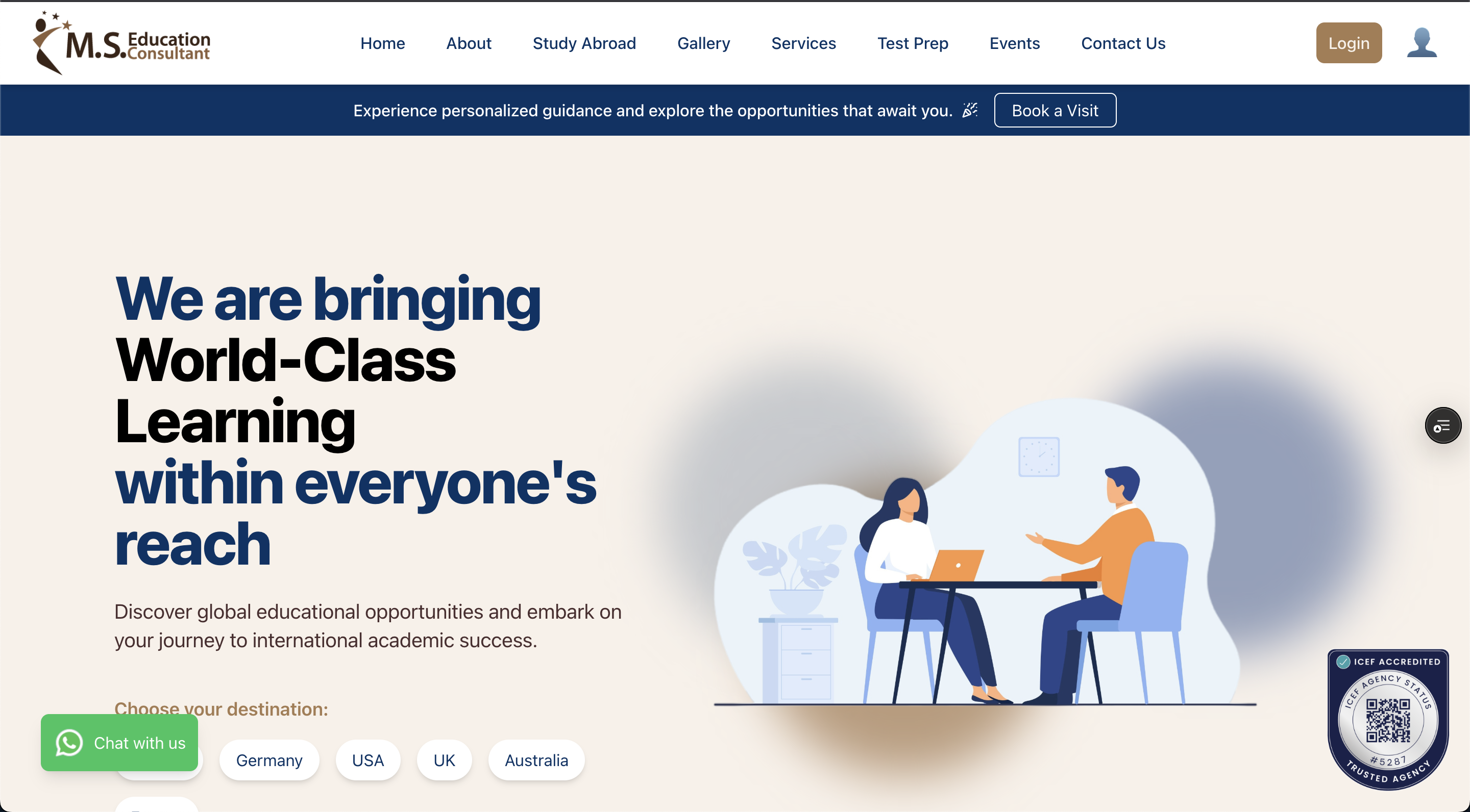 MSE Consultant Website